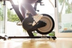 Bowflex IC SEi İç Mekan Egzersiz Bisikleti