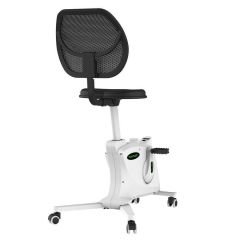 Tunturi DB 132 Home Office Bisikleti